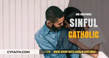 Erections and Catholic Morality: Understanding Sin and Natural Bodily Functions