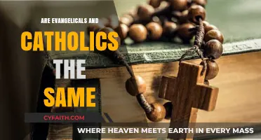 Evangelicals vs. Catholics: What's the Difference?