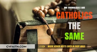 Exploring Catholic and Evangelical Similarities and Differences