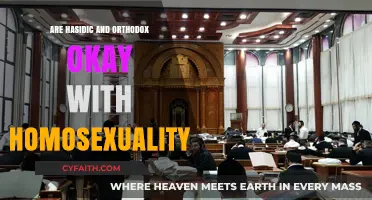 Are Hasidic and Orthodox Jews Accepting of Homosexuality?