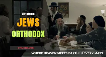 Are Hasidic Jews Orthodox? Exploring the Relationship and Key Differences