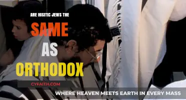 Are Hasidic Jews the Same as Orthodox? Exploring Key Differences