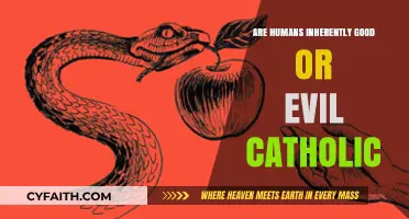 The Catholic Perspective: Human Nature and Morality