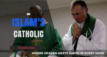 Are Islam and Catholicism Comparable? Exploring Theological and Cultural Parallels