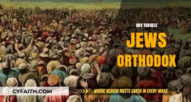 Are Israeli Jews Orthodox? Exploring Israel's Diverse Jewish Religious Practices