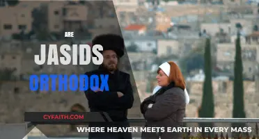 Are Jasids Orthodox? Exploring the Religious Identity and Practices