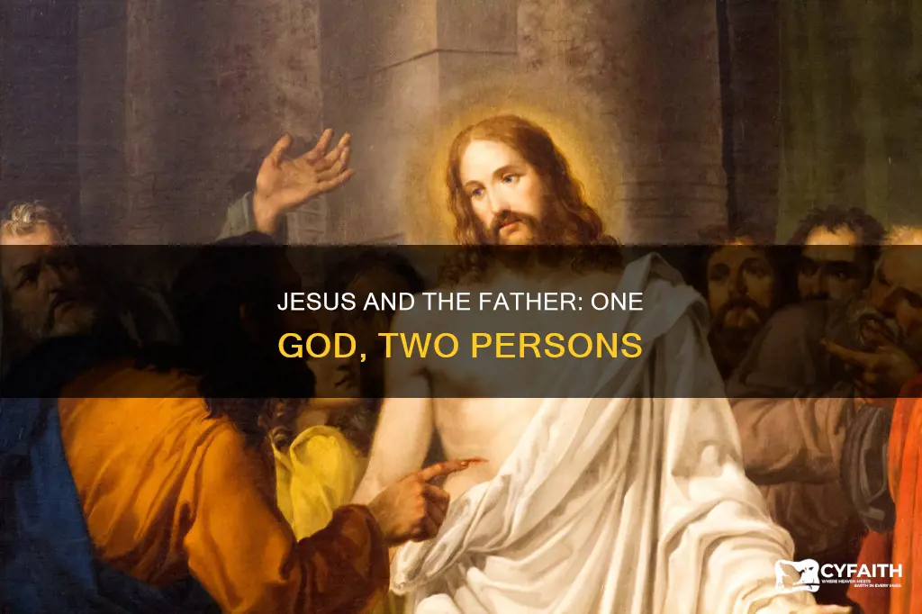 are jesus and the father the same catholic