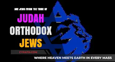 Are Jews from the Tribe of Judah Orthodox? Exploring the Connection