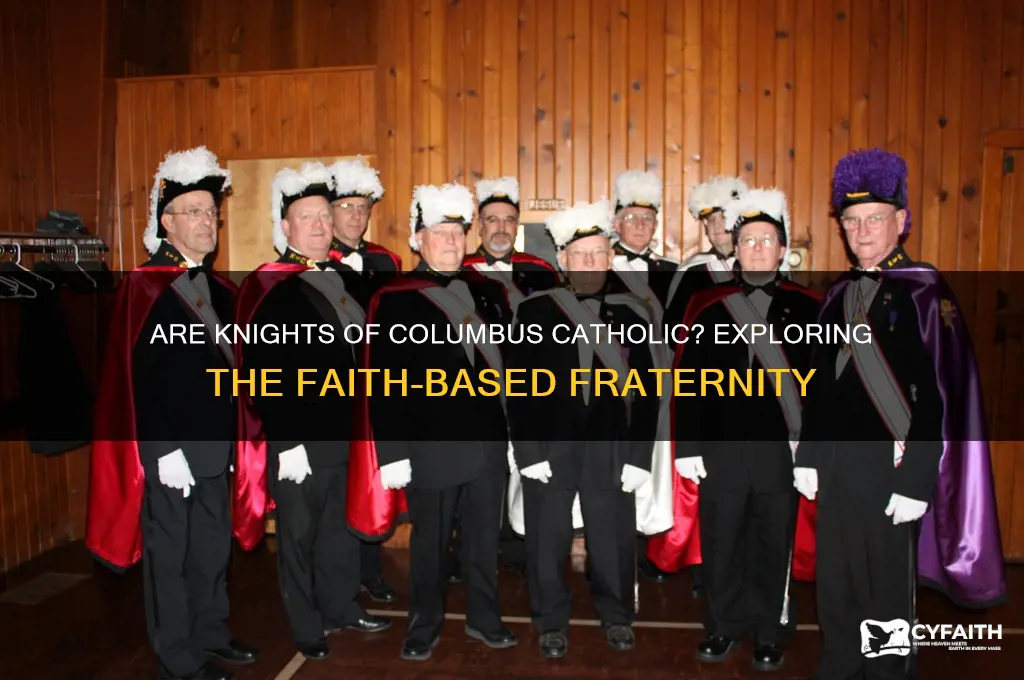 are knights of columbus catholic