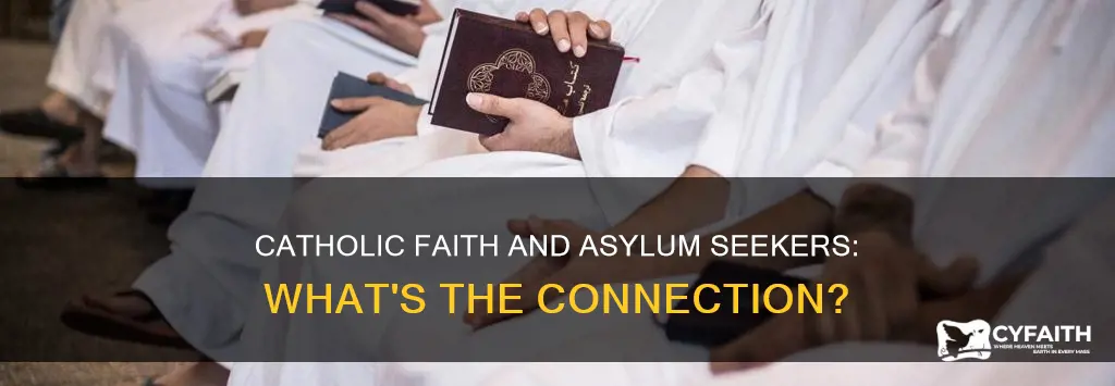 are many of the asylum seekers catholic