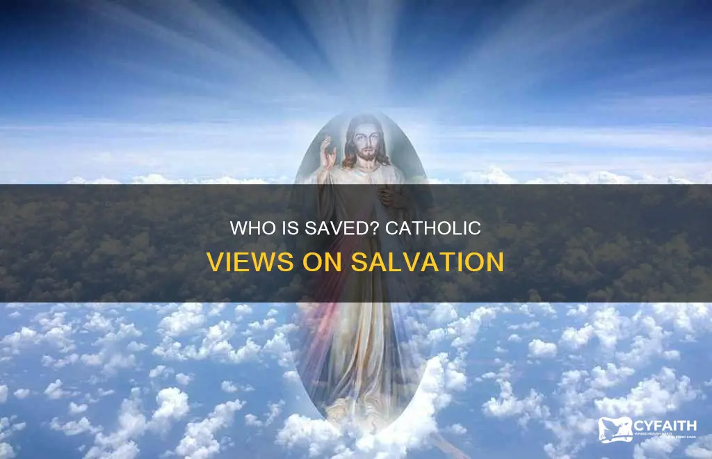 are many or few saved catholic