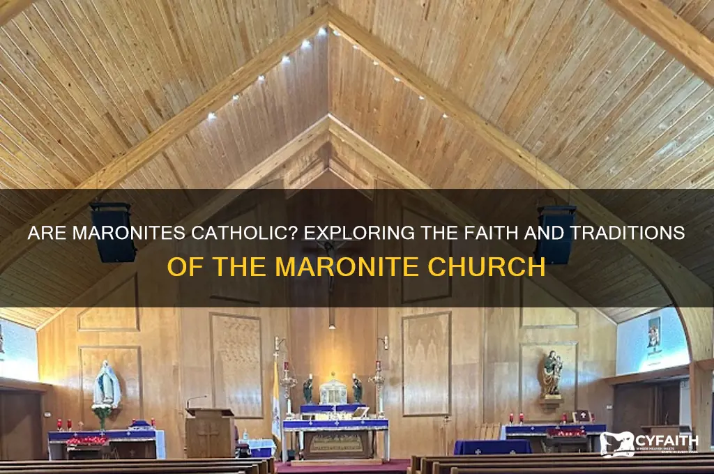 are maronites catholic