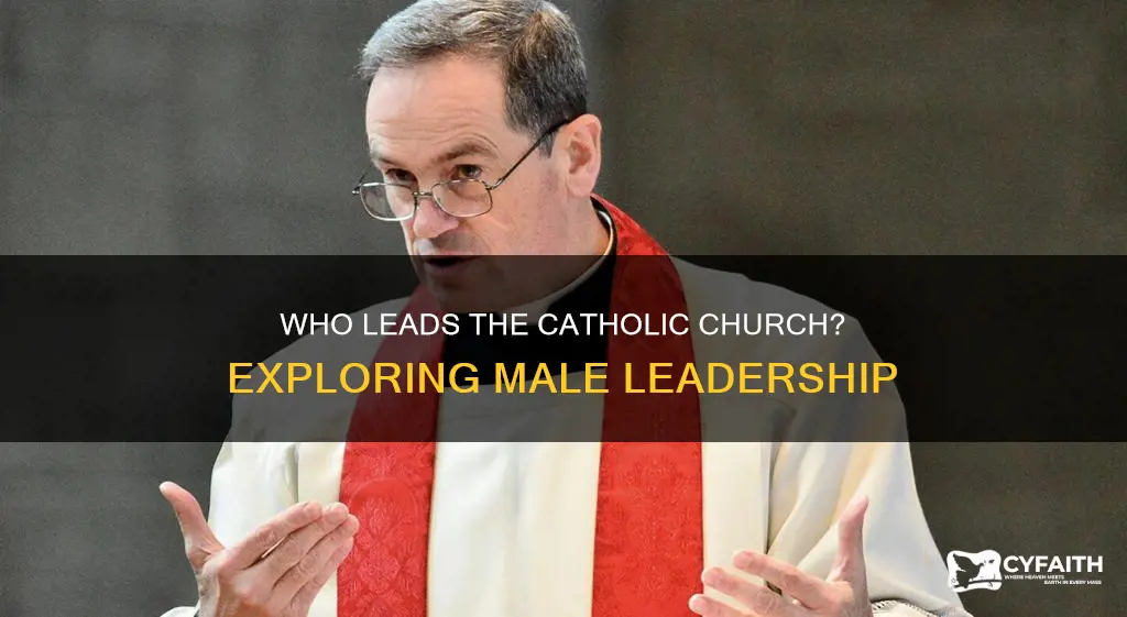 are men claled to lead catholic
