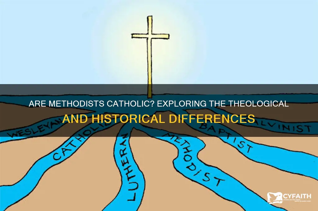 are methodist catholic
