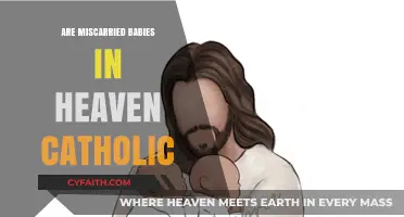 Where do miscarried babies go? Catholic Heaven Insight