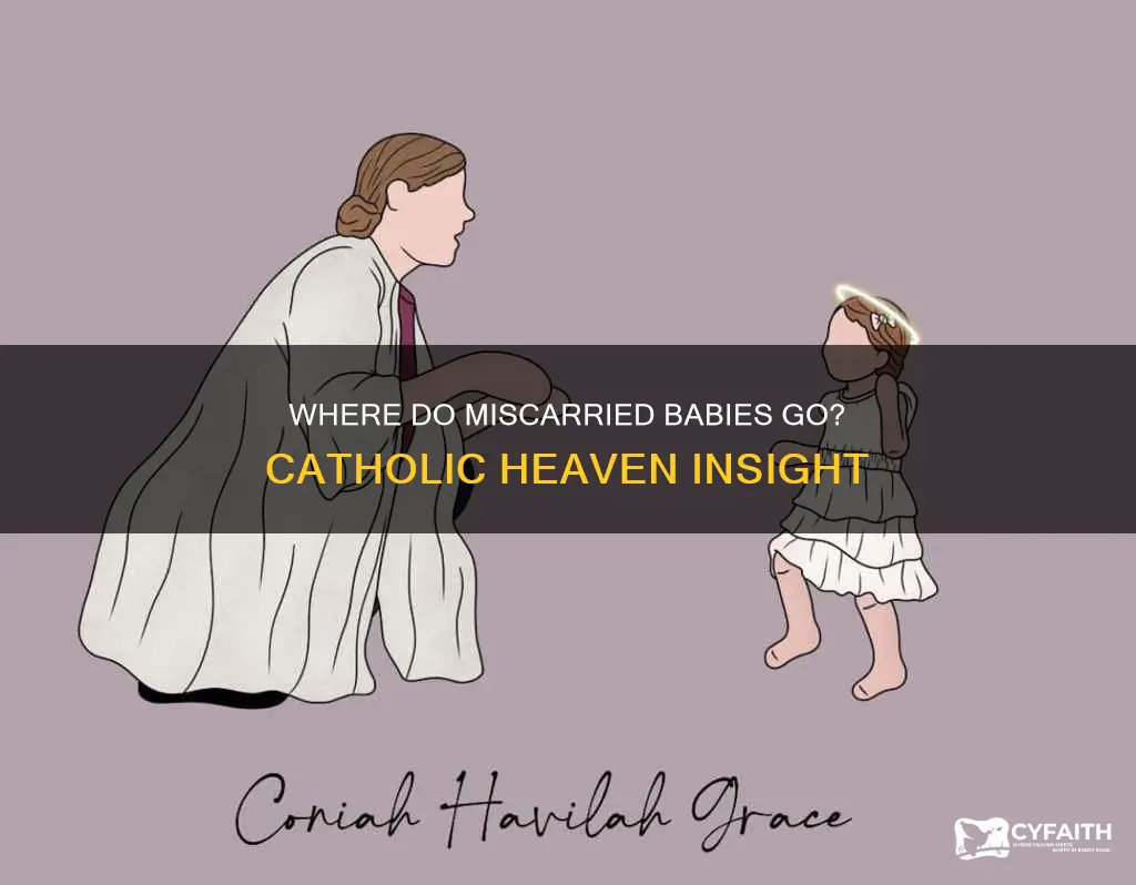 are miscarried babies in heaven catholic