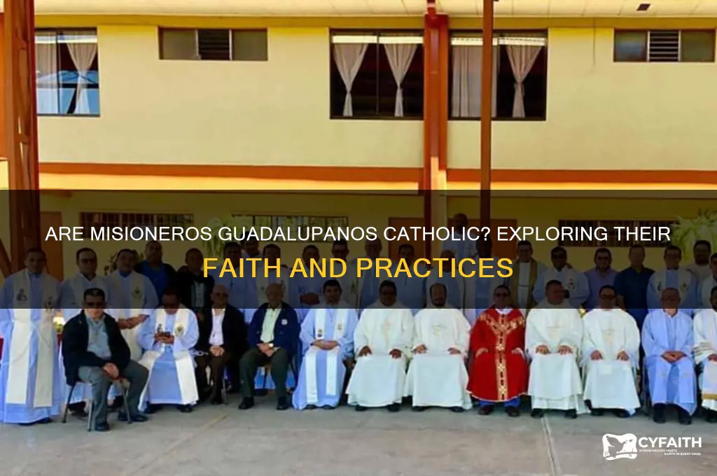 are misioneros guadalupanos catholic