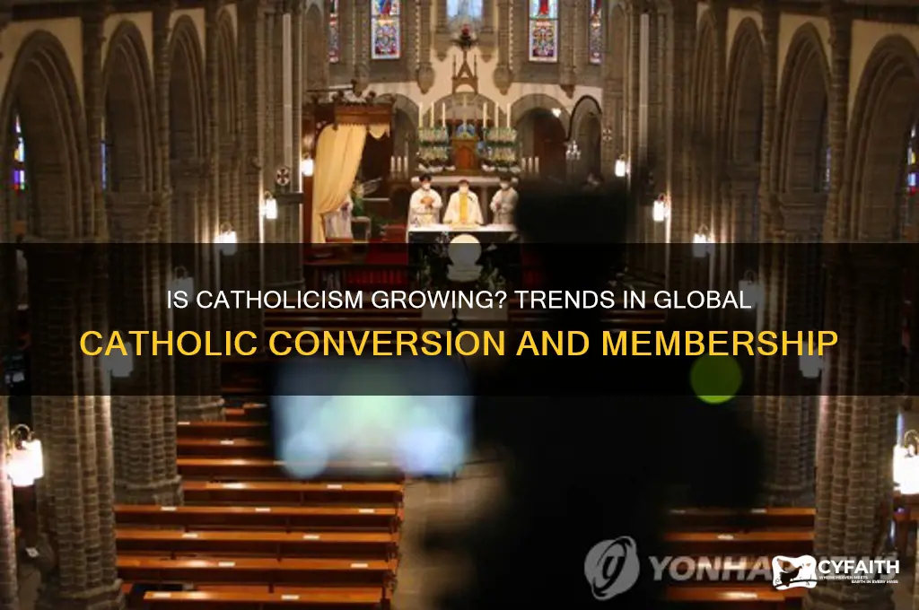 are more people becoming catholic