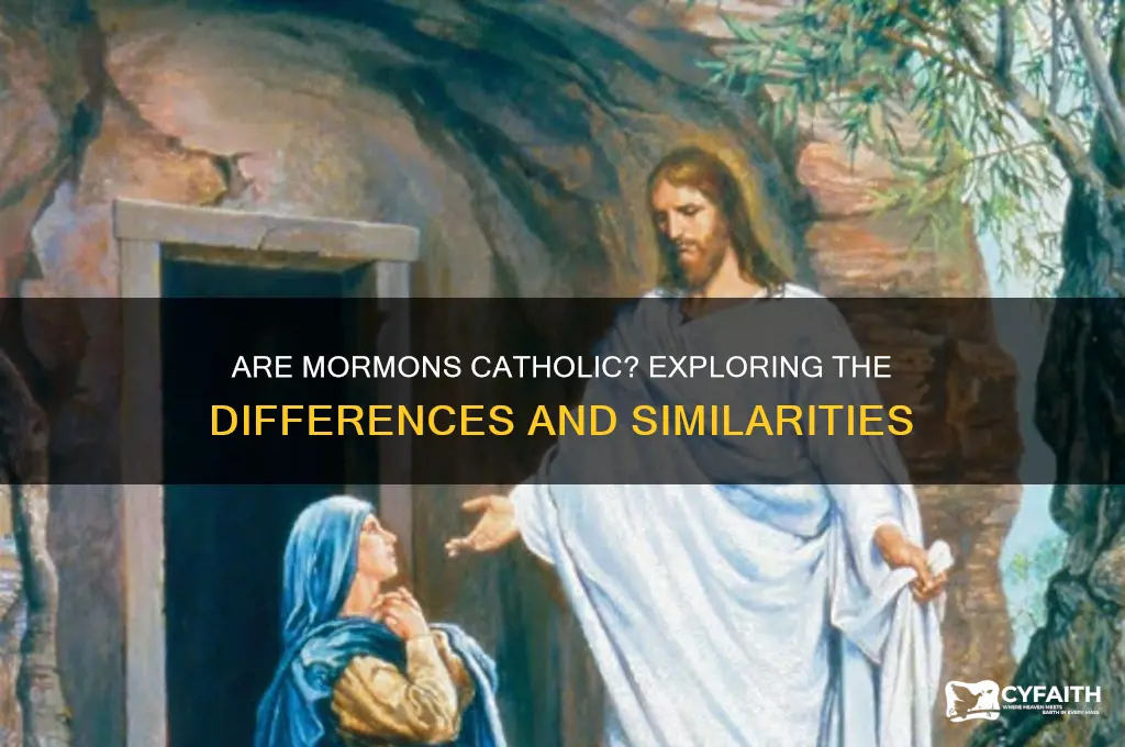 are mormons catholic