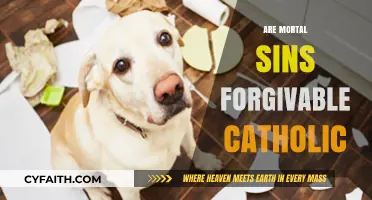 Can Mortal Sins Be Forgiven in the Catholic Faith?