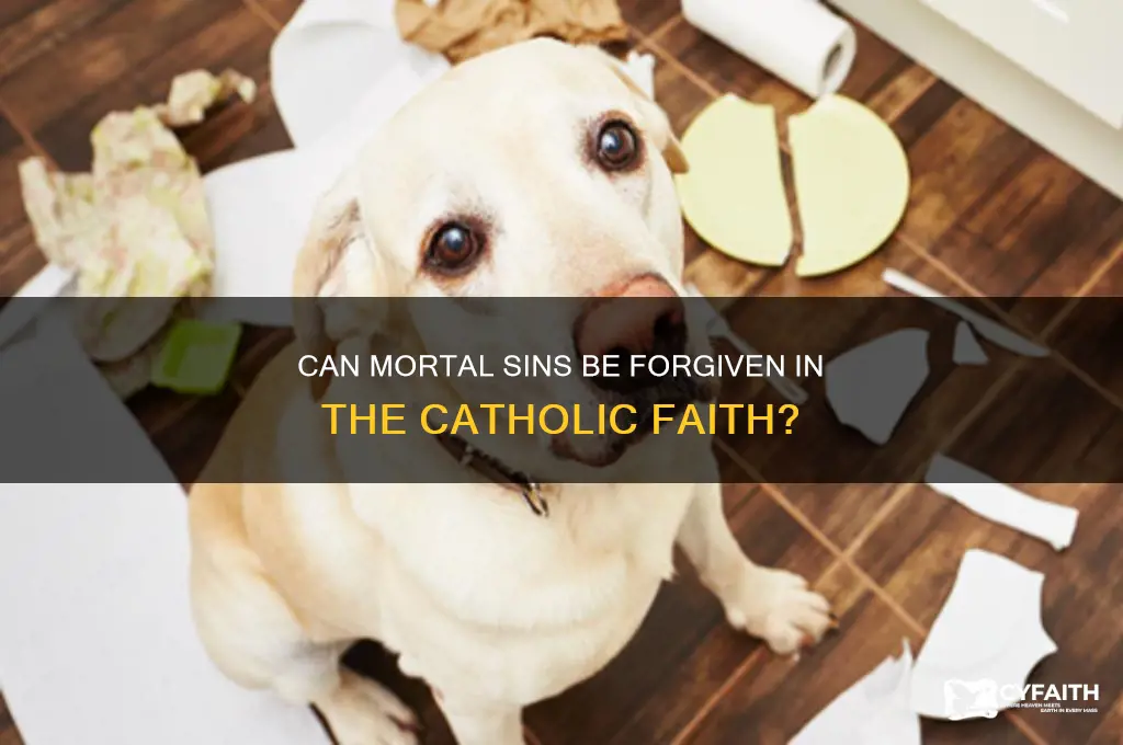 are mortal sins forgivable catholic