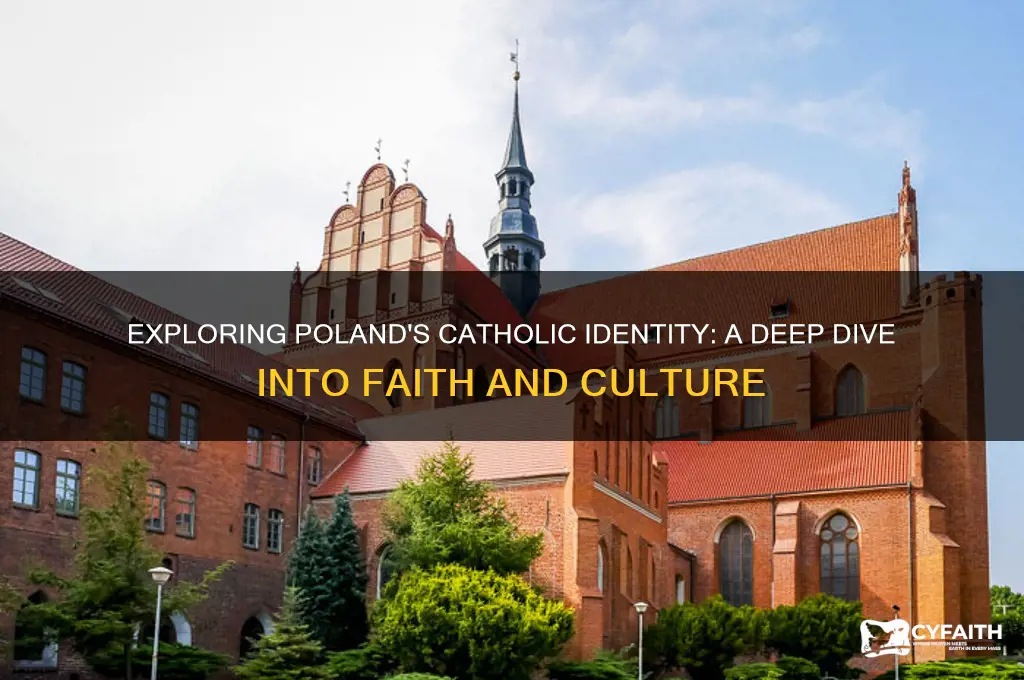 are most polish catholic