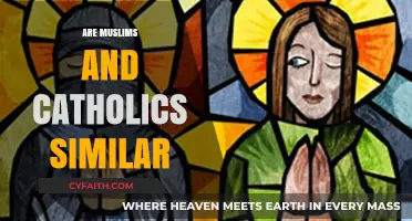 Exploring Commonalities: Muslim and Catholic Beliefs, Practices, and Values Compared