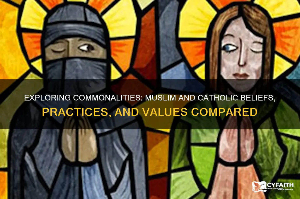 are muslims and catholics similar