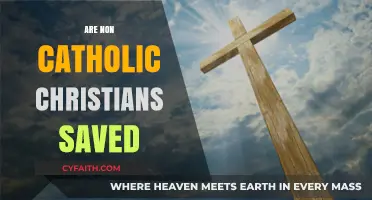 Can Non-Catholic Christians Attain Salvation? Exploring Faith Beyond Rome