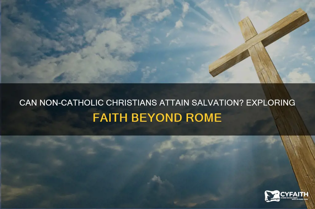 are non catholic christians saved