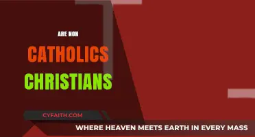 Are Non-Catholics Christians? Exploring Faith Beyond the Vatican