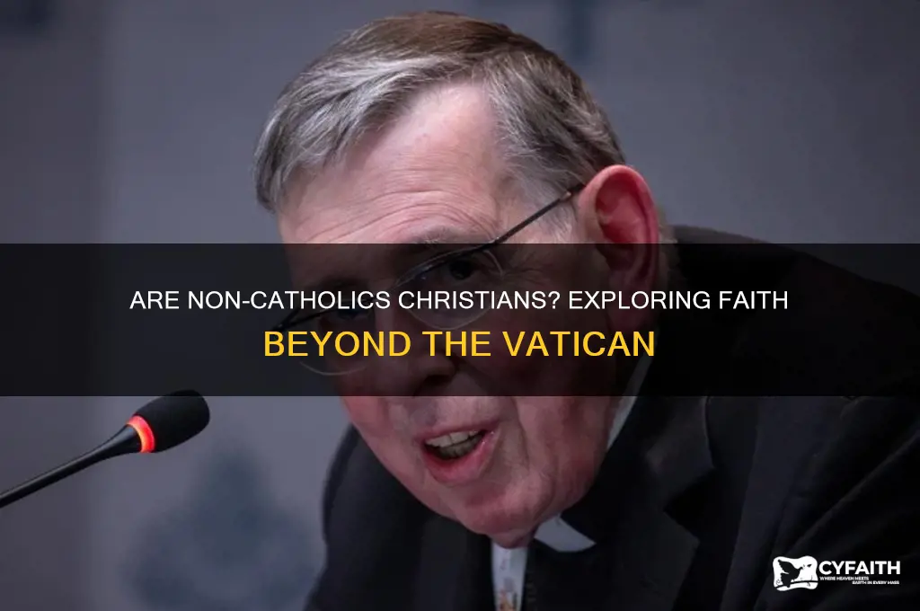 are non catholics christians