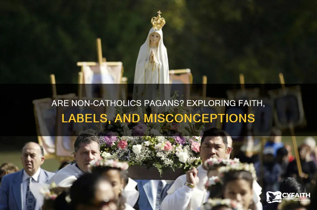 are non catholics pagains