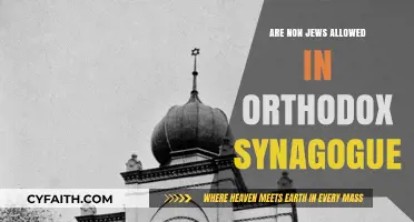 Can Non-Jews Visit Orthodox Synagogues? Exploring Access and Traditions