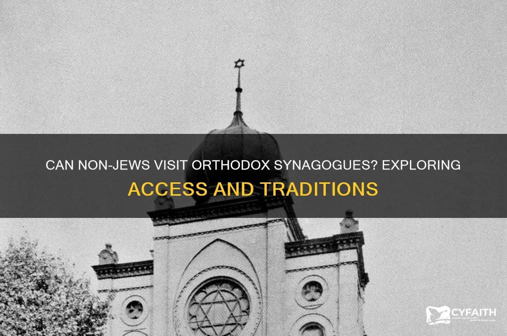 are non jews allowed in orthodox synagogue