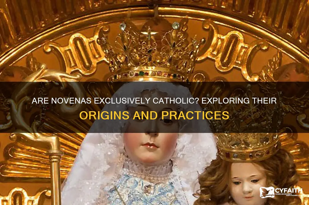 are novenas a catholic idea