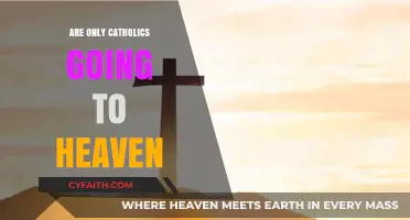 Who Goes to Heaven? Catholics and Beyond