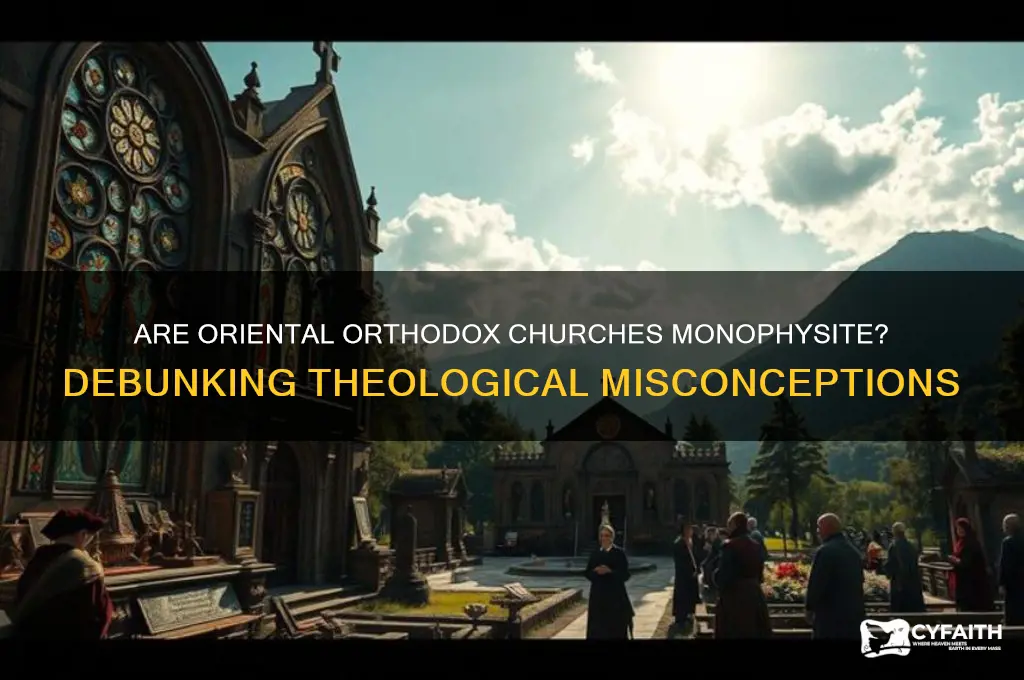 are oriental orthodox monophysites