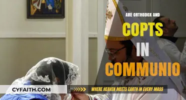 Orthodox and Coptic Communion: Unity, Divisions, and Ecumenical Dialogue Explored