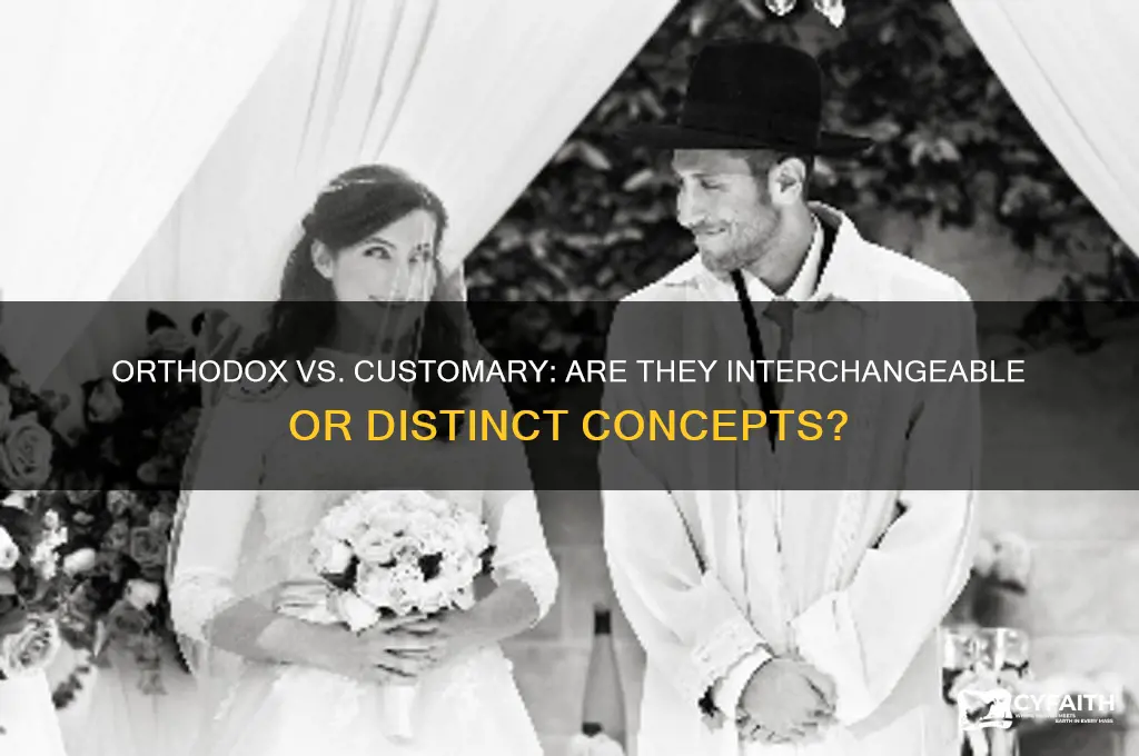 are orthodox and customary synonyms