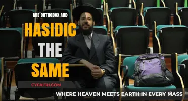 Orthodox vs. Hasidic: Understanding the Key Differences and Similarities