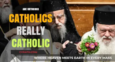 Are Orthodox Catholics Truly Catholic? Exploring Faith and Identity