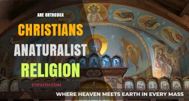 Orthodox Christianity and Naturalism: Exploring Theological and Philosophical Alignments