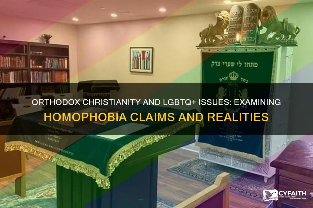 are orthodox christians homophobic