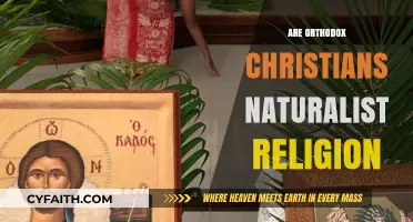 Orthodox Christianity and Naturalism: Exploring Theological and Philosophical Connections