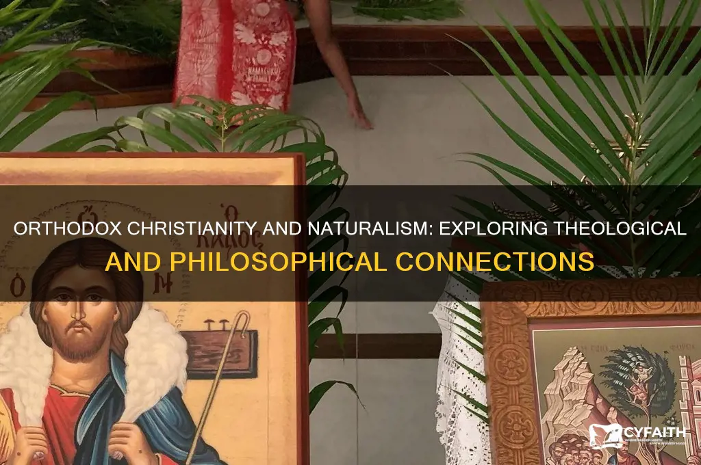 are orthodox christians naturalist religion