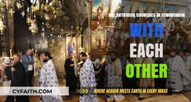 Orthodox Churches: United in Communion or Independent Entities?