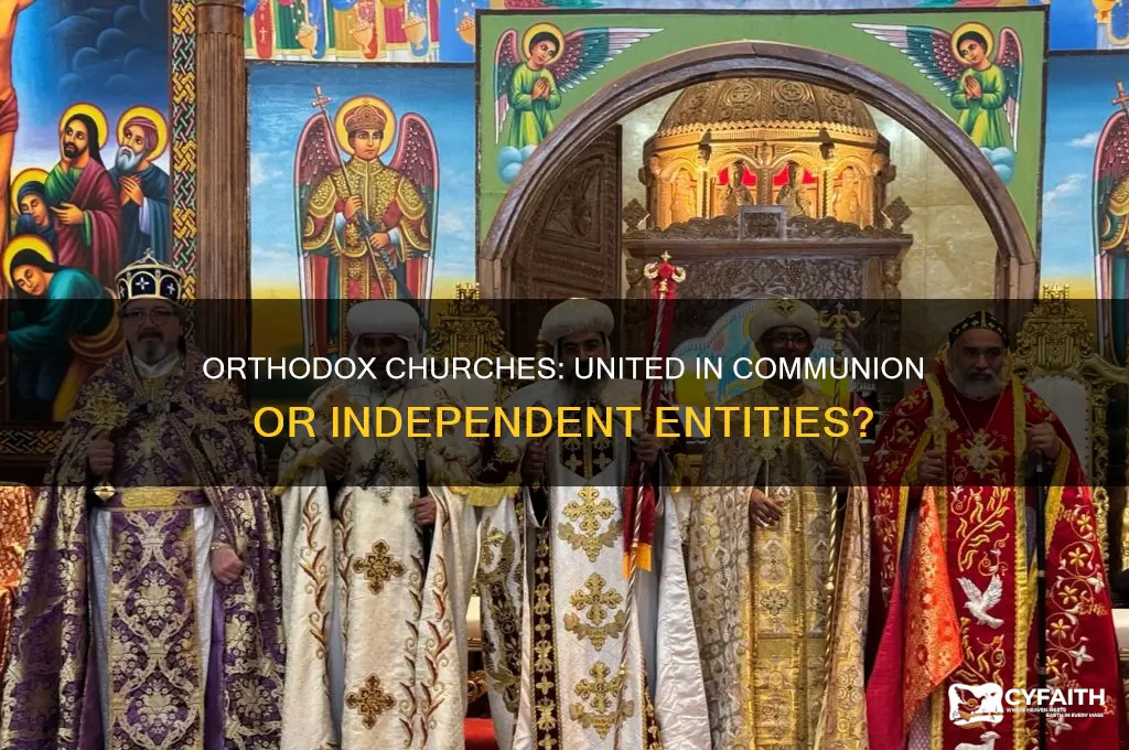 are orthodox churches in communion with each other