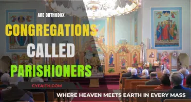 Orthodox Congregations: Are They Correctly Referred to as Parishioners?
