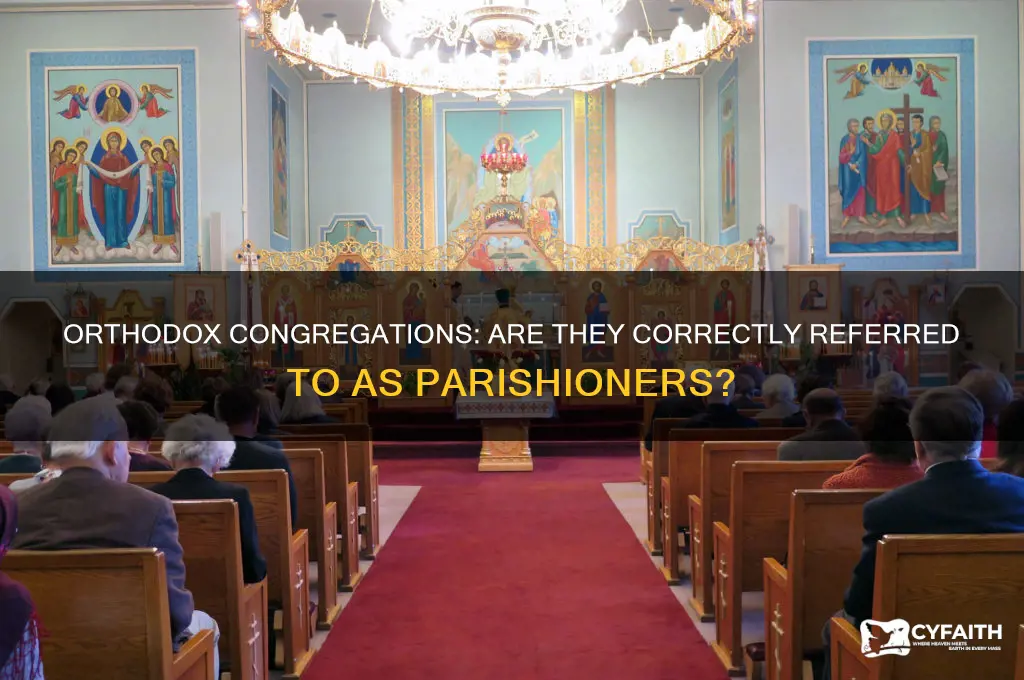 are orthodox congregations called parishioners